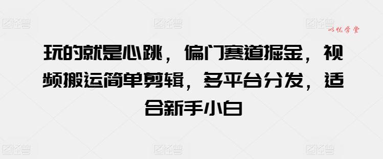玩的就是心跳，偏门赛道掘金，视频搬运简单剪辑，多平台分发，适合新手小白【揭秘】