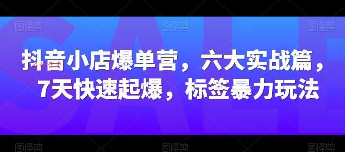 抖音小店爆单营，六大实战篇，7天快速起爆，标签暴力玩法