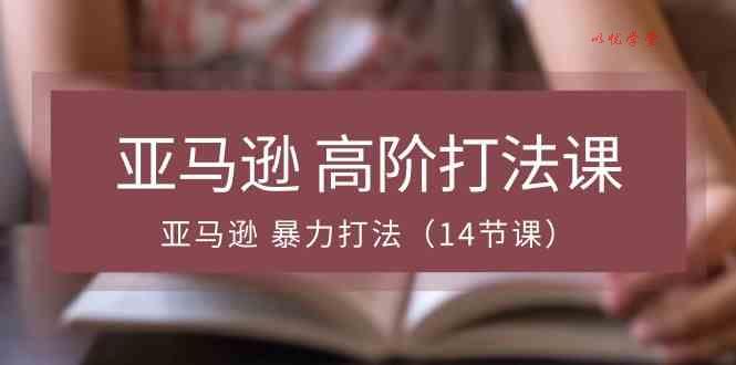 亚马逊高阶打法课，亚马逊暴力打法（14节课）