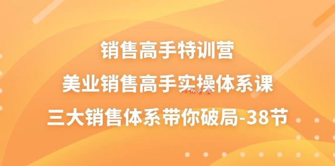 销售高手特训营，美业销售高手实操体系课，三大销售体系带你破局（38节）