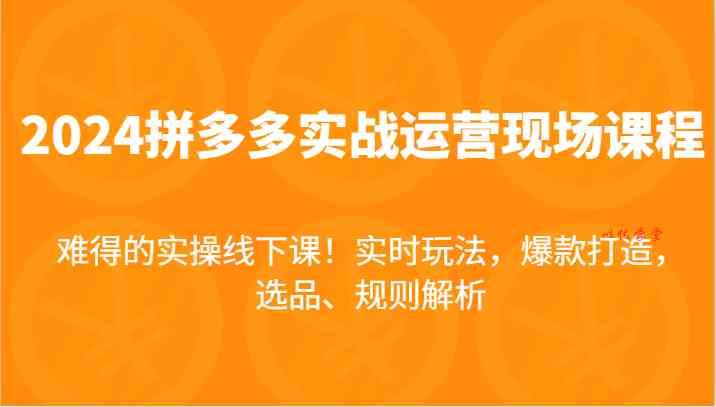 2024拼多多实战运营现场课，实时玩法，爆款打造，选品、规则解析，难得的实操线下课！