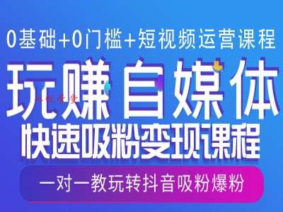 0基础+0门槛+短视频运营课程，玩赚自媒体快速吸粉变现课程，一对一教玩转抖音吸粉爆粉