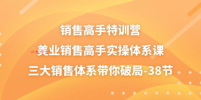 （10939期）销售-高手特训营，美业-销售高手实操体系课，三大销售体系带你破局-38节