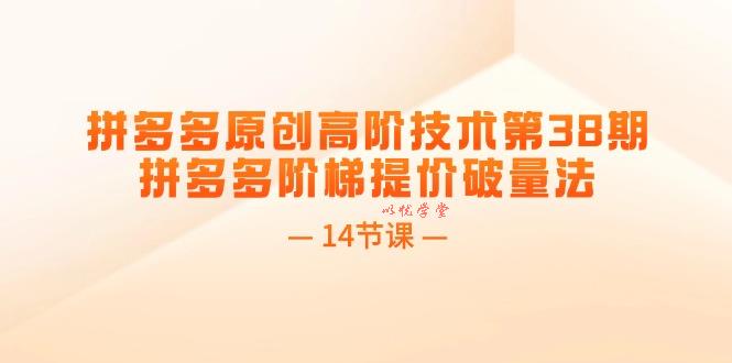 （11704期）拼多多原创高阶技术第38期，拼多多阶梯提价破量法（14节课）