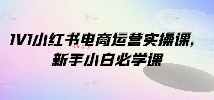 1V1小红书电商运营实操课，新手小白必学课