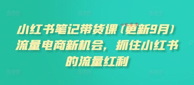 小红书笔记带货课(更新9月)流量电商新机会，抓住小红书的流量红利