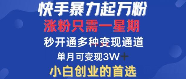 快手暴力起万粉，涨粉只需一星期，多种变现模式，直接秒开万合，单月变现过W【揭秘】