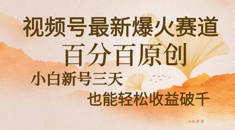 （13225期）视频号最新爆火赛道，中老年粉深信不疑，百分百原创，新号三天收益轻松…