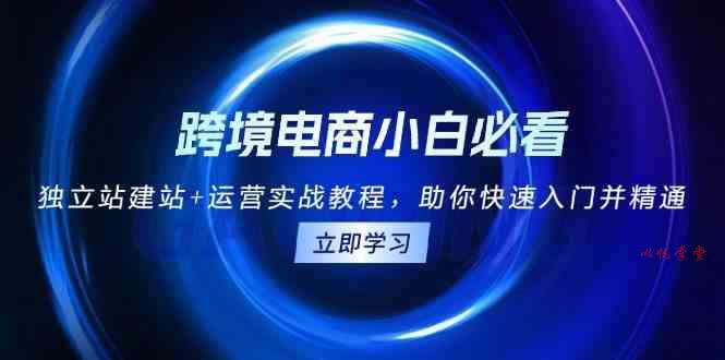 跨境电商小白必看！独立站建站+运营实战教程，助你快速入门并精通