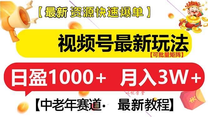（13530期）视频号最新玩法 中老年赛道 月入3W+