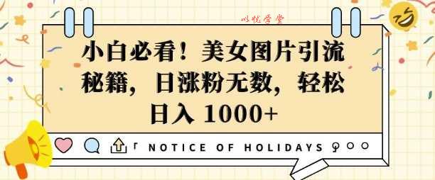 小白必看，美女图片引流秘籍，日涨粉无数，轻松日入几张【揭秘】