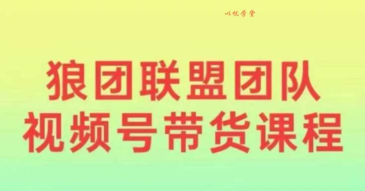 狼团联盟2024视频号带货，0基础小白快速入局视频号