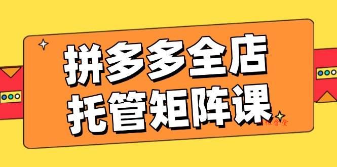 （14328期）拼多多全店托管矩阵课，盈利动销玩法，高效计划设置，提升店铺效益
