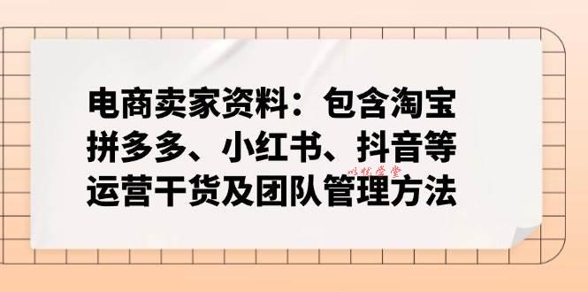 （14354期）电商卖家资料：包含淘宝、拼多多、小红书、抖音等运营干货及团队管理方法