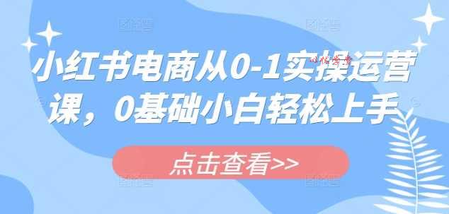 小红书电商从0-1实操运营课，0基础小白轻松上手