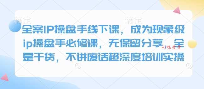 全案IP操盘手线下课，成为现象级ip操盘手必修课，无保留分享，全是干货，不讲废话超深度培训实操