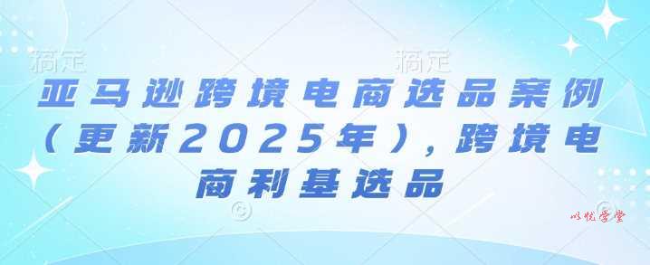 亚马逊跨境电商选品案例(更新2025年2月)，跨境电商利基选品