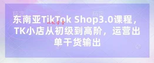 东南亚TikTok Shop3.0课程，TK小店​从初级到高阶，运营出单干货输出
