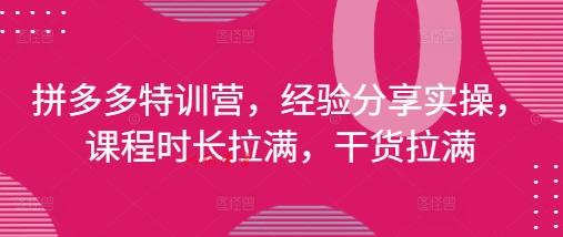 拼多多特训营，经验分享实操，课程时长拉满，干货拉满(更新25年4月)