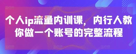 个人ip流量内训课，内行人教你做一个账号的完整流程
