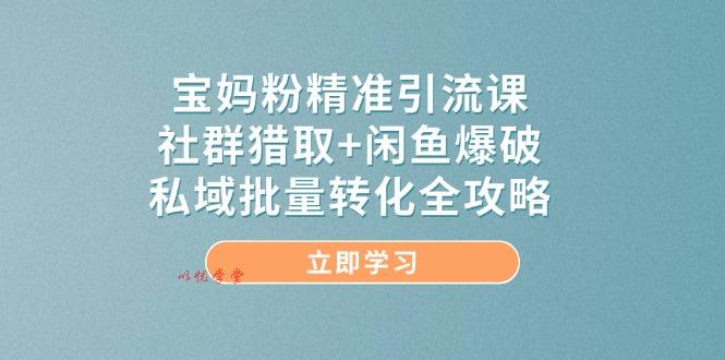 （14820期）宝妈粉精准引流课，社群猎取+闲鱼爆破，私域批量转化全攻略