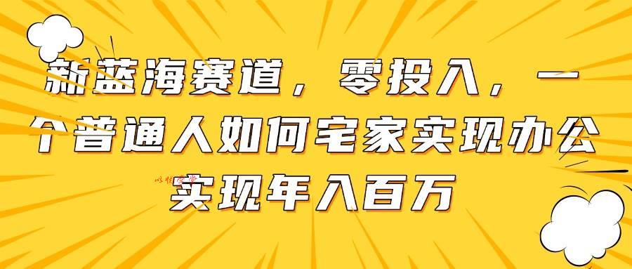 （14700期）新蓝海赛道，零投入，一个普通人如何宅家办公实现年入百万