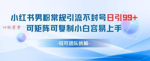 小红书男粉常规引流不封号日引99+变现简单 可矩阵可复制小白容易上手