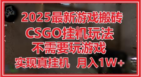 2025最新游戏搬砖，CSGO挂G，不需要玩游戏，实现真挂G，月入1W+【揭秘】