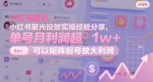 小红书聚光投放实操经验分享，单号月利润超1w+，可以矩阵起号放大利润