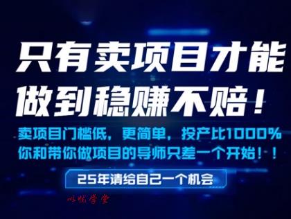 只有卖项目才能做到稳挣不赔，门槛低，更简单，你也可以年入百个W【揭秘】