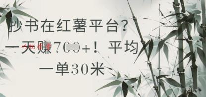 抄书在小红薯平台？平均一单30米，一天收益几张！