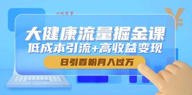 大健康流量掘金课，低成本引流+高收益变现，日引百粉月入过万