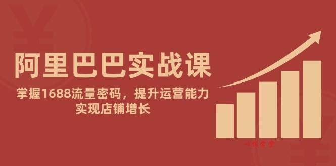 （14830期）阿里巴巴实战课：掌握1688流量密码，提升运营能力，实现店铺增长