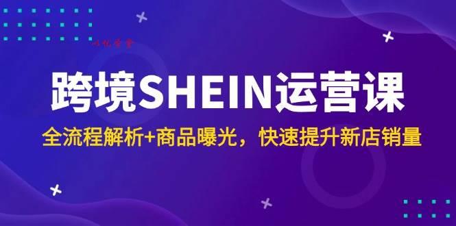 （14832期）跨境SHEIN运营课，全流程解析+商品曝光，快速提升新店销量