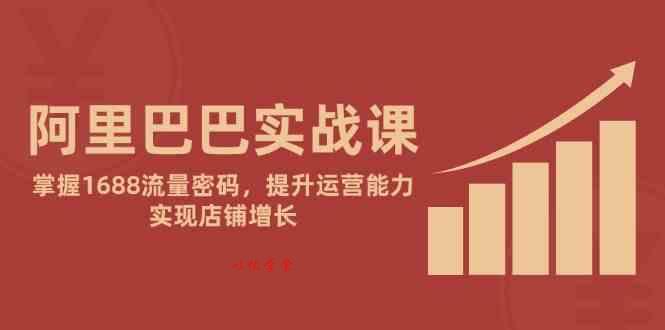 阿里巴巴实战课：掌握1688流量密码，提升运营能力，实现店铺增长