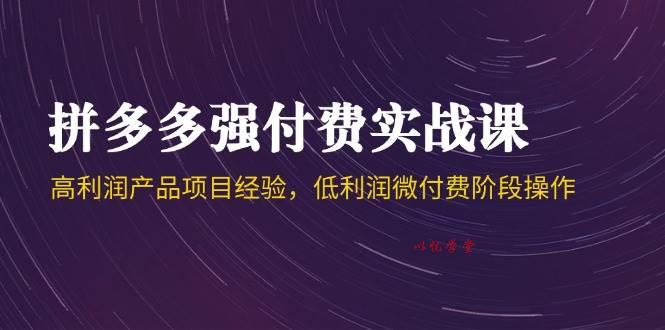 （14874期）拼多多强付费实战课-44期，高利润产品项目经验，低利润微付费阶段操作