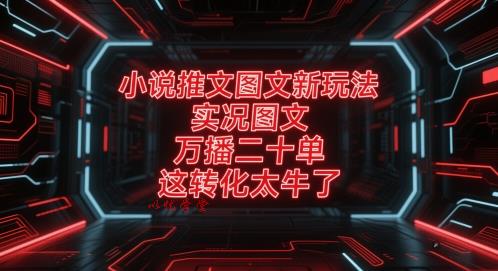 小说推文图文新玩法，实况图文，万播二十单，这转化太牛了！