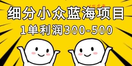 细分小众蓝海项目，一单利润3张，每月收入稳定过1w+