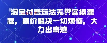 淘宝付费玩法无界实操课程，高价解决一切烦恼，大力出奇迹