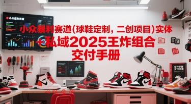小众暴利赛道(球鞋定制，二创项目)实体+私域2025王炸组合  交付手册