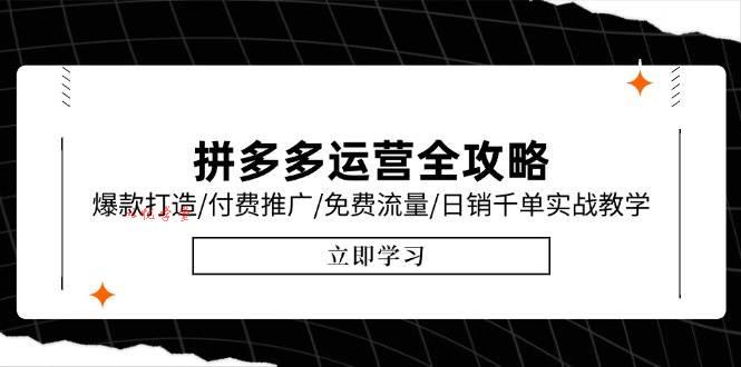 （15085期）拼多多运营全攻略，爆款打造/付费推广/免费流量/日销千单实战教学/6月更新