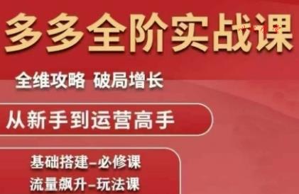 拼多多全阶实战课程，全维攻略，破局增长，从新手到运营高手
