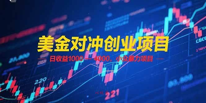 （15187期）美金对冲创业项目，日收益 1000 – 4000，小众暴力项目