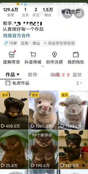抖音65W博主AI萌宠课程，新赛道流量大，原创+二创，全套课程+提示词