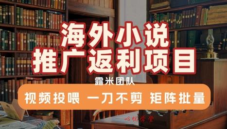 海外小说推广返利项目，视频投喂， 一刀不剪，矩阵批量