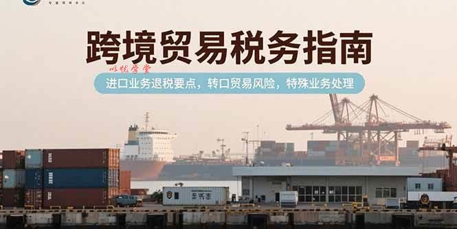 （15381期）跨境贸易税务指南，进口业务退税要点，转口贸易风险，特殊业务处理