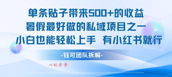 单条贴子带来5张的收益，暑假最好做的私域项目之一，小白也能轻松上手，有小红书就行