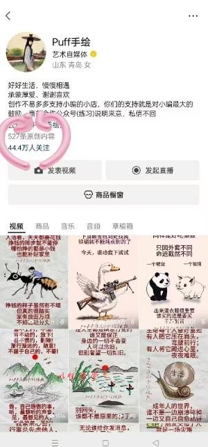 Puff手绘视频号分成项目，三天过分成计划，简单易上手，适合新手