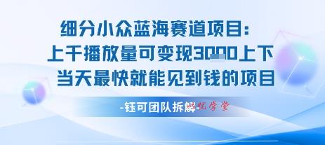 小众蓝海赛道项目：当天变现1k+适合新手操作 +适合长期玩