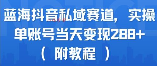蓝海抖音私域赛道，实操单账号当天变现288+(附教程)